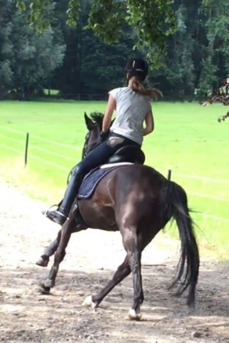 Sanne & Unique at the stable