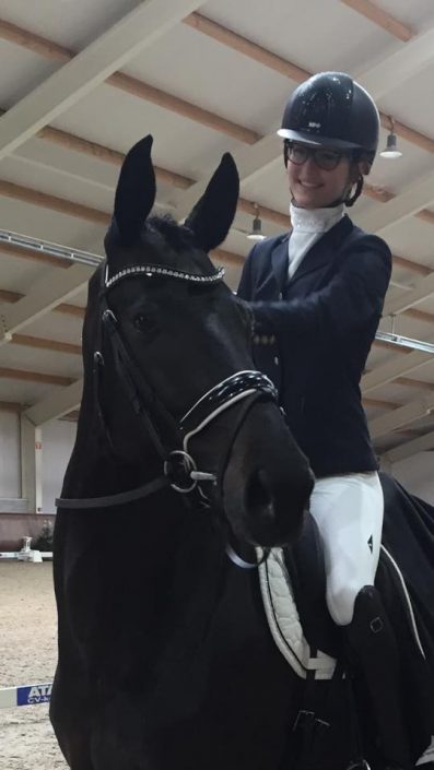 Horse show thePeelberg