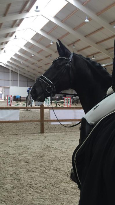 Sanne and Elgie in the Peelberg