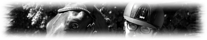 You’re always welcome to see the horses .