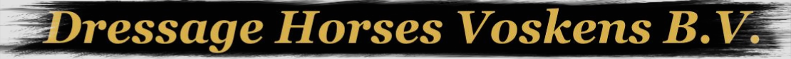 Dressage Horses Voskens