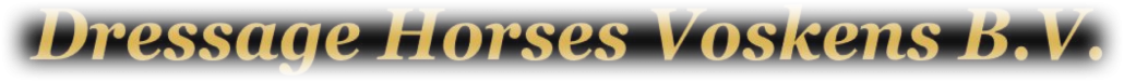 if you’re looking for high quality dressage horses and personal service, you’ve come to the right place and contact dressage horses voskens